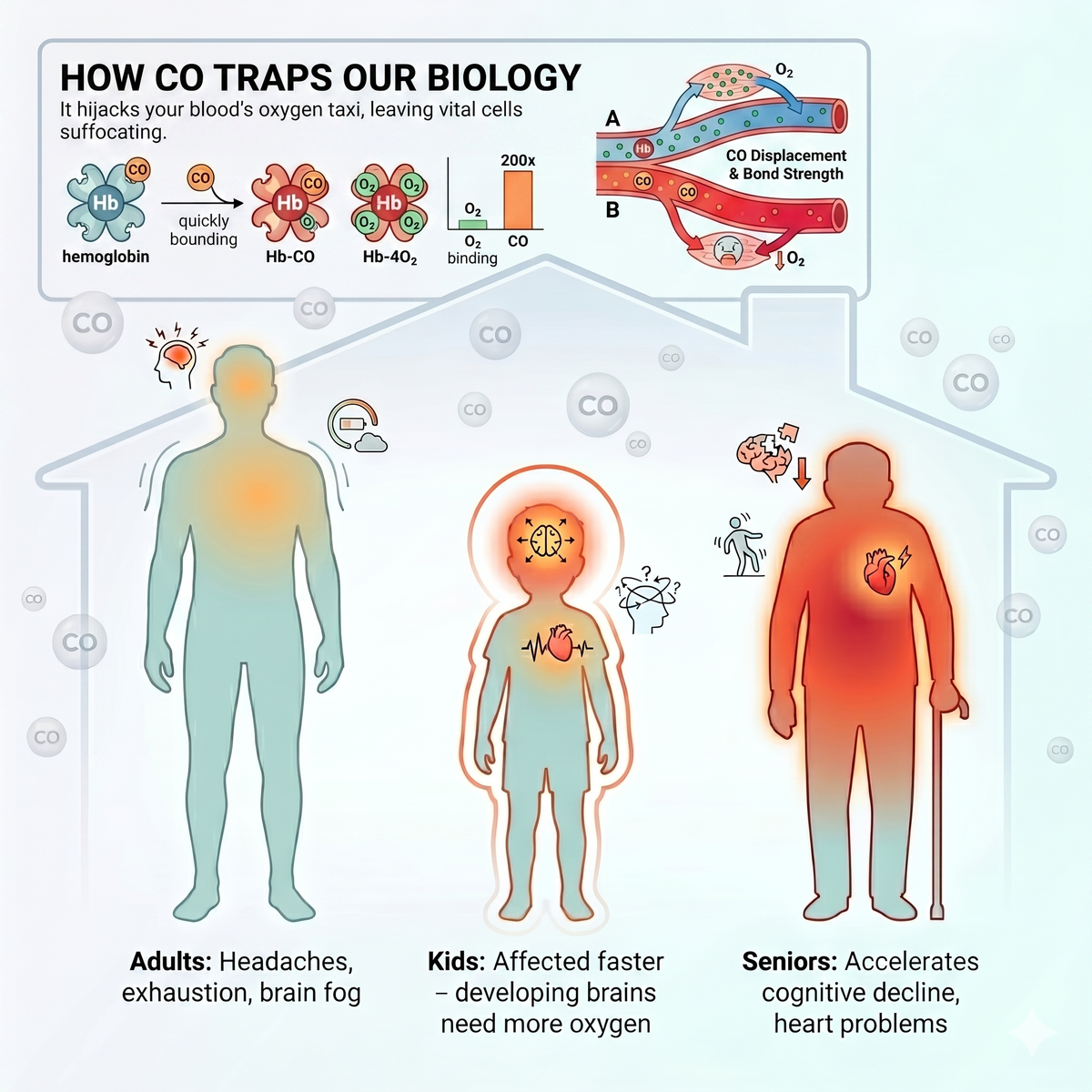 Infographic titled How CO Traps Our Biology, showing carbon monoxide binding to hemoglobin 200 times more readily than oxygen, and the different effects on adults, kids and seniors.